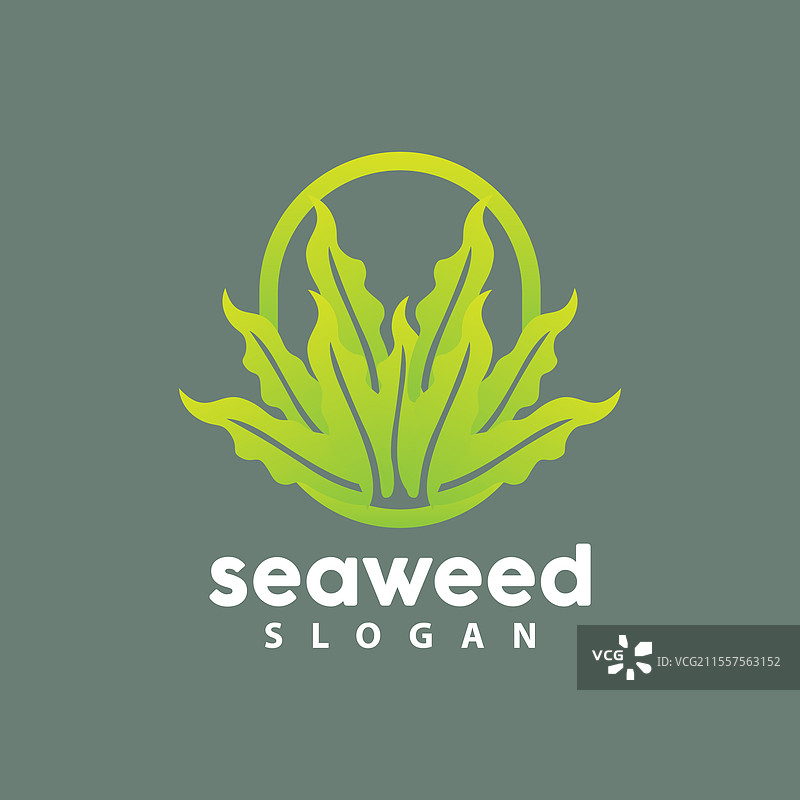 海藻标志水下植物简单叶子设计图片素材