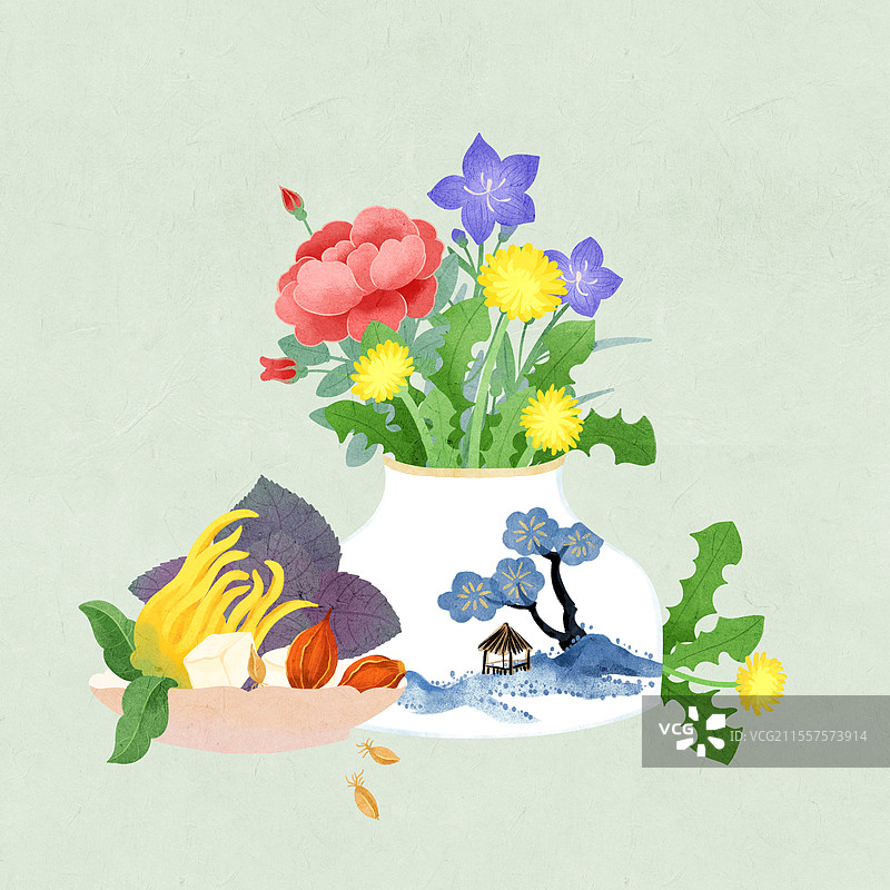 蒲公英清热膏花瓶花卉养生膏药材国风插画图片素材