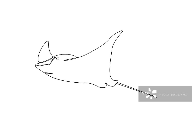 鳐鱼线条艺术图标 鳐鱼连续轮廓图片素材