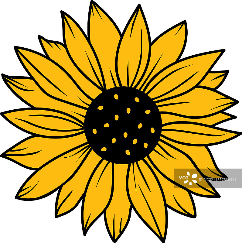 向日葵花图片素材
