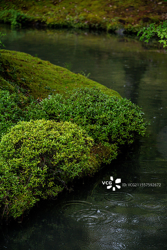 日本京都著名旅游景点世界文化遗产天龙寺曹源池图片素材