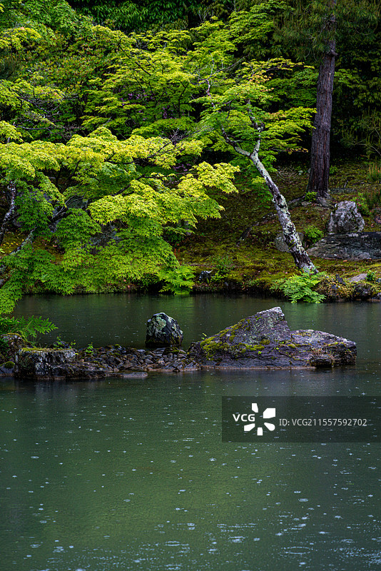 日本京都著名旅游景点世界文化遗产天龙寺曹源池美丽的山水风景图片素材
