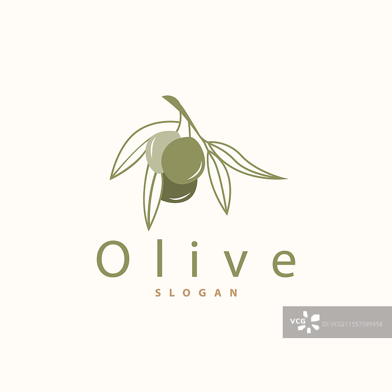 优质橄榄油标志新鲜植物花园设计图片素材