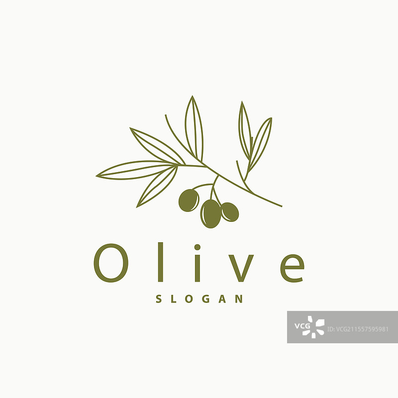 优质橄榄油标志新鲜植物花园设计图片素材