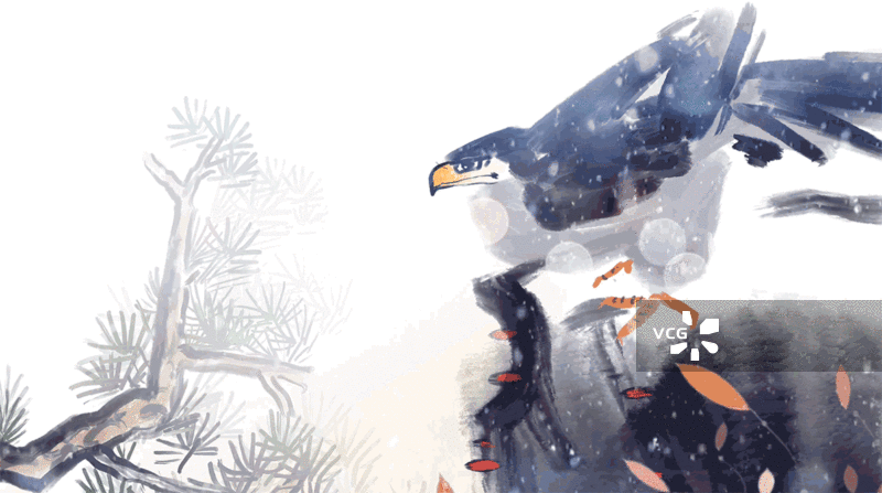 下雪 寒冷 立冬 冬至 老鹰  中国画 水墨动画图片素材