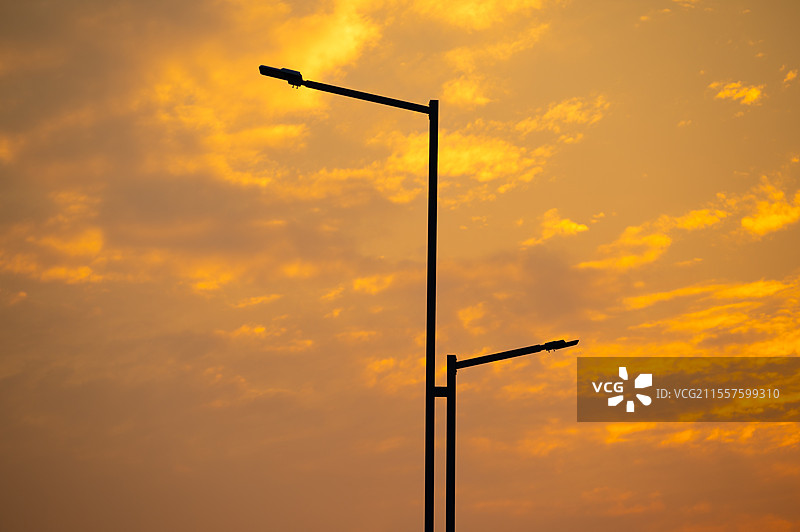 金色余辉下的守望者图片素材