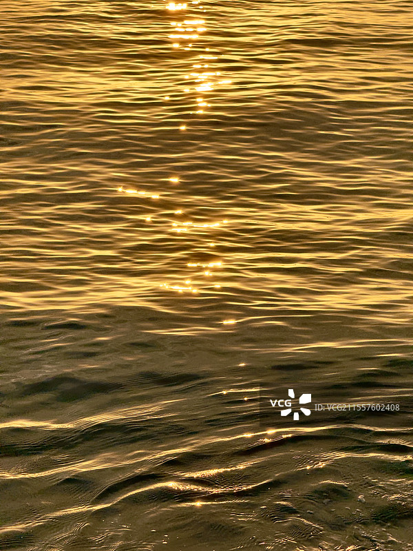 流金岁月——落日下的金光海面图片素材