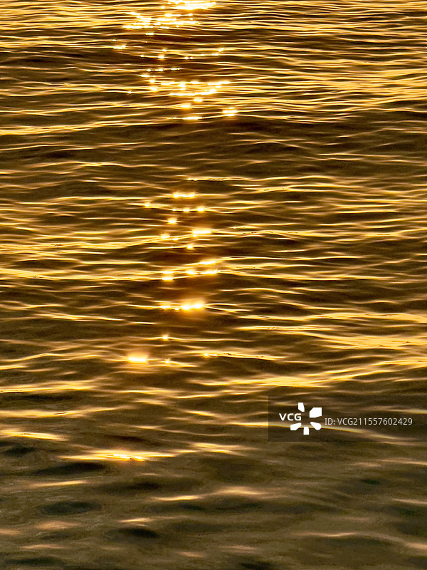 流金岁月——落日下的金光海面图片素材