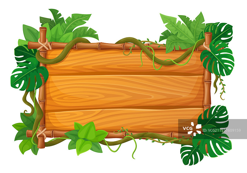 热带竹子框架横幅，配有丛林藤蔓图片素材