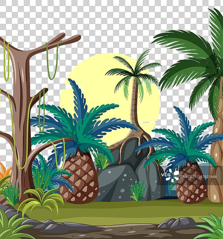 郁郁葱葱的热带风景图片素材