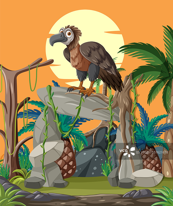 丛林中岩石上的秃鹫图片素材
