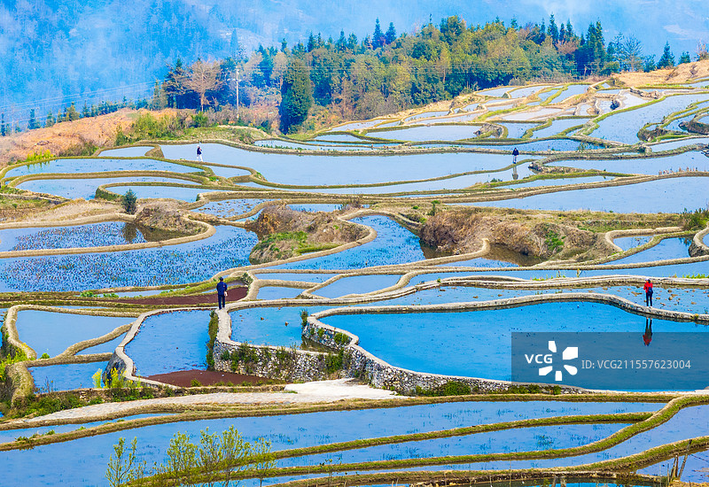 云南元阳爱春蓝梯田图片素材