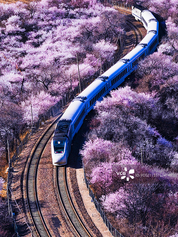 花海列车图片素材
