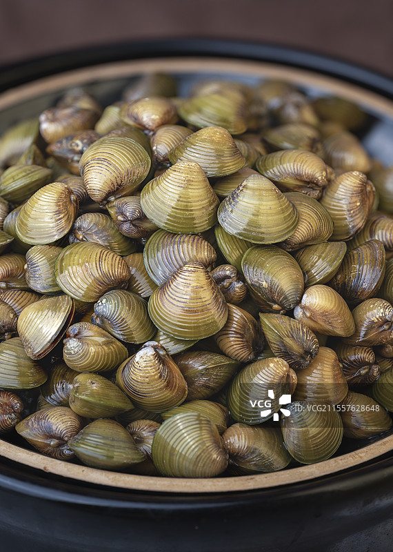 一盘新鲜美味河蚬图片素材