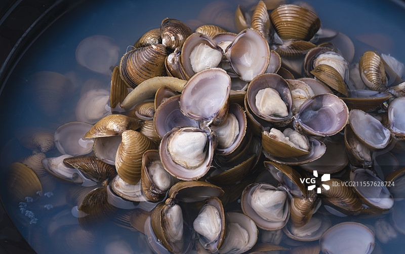 一盘新鲜美味河蚬图片素材