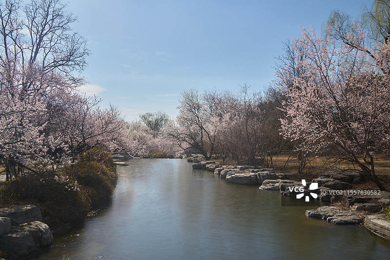 国家植物园山桃花溪图片素材