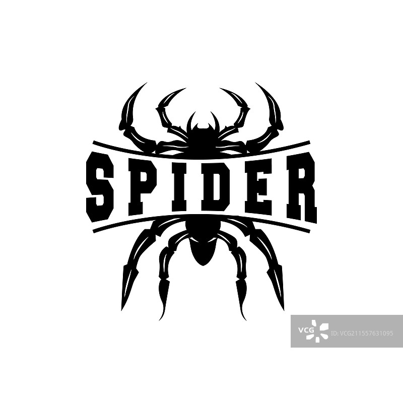 蜘蛛标志 昆虫 动物 高端 复古 设计图片素材