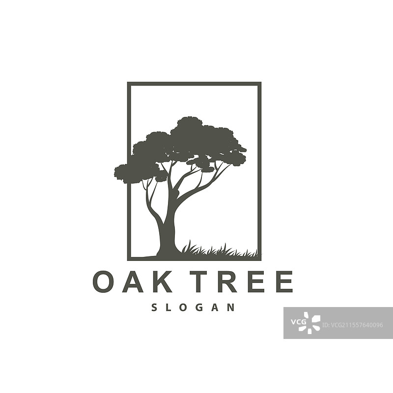 橡树标志，自然树木植物，极简风格图片素材