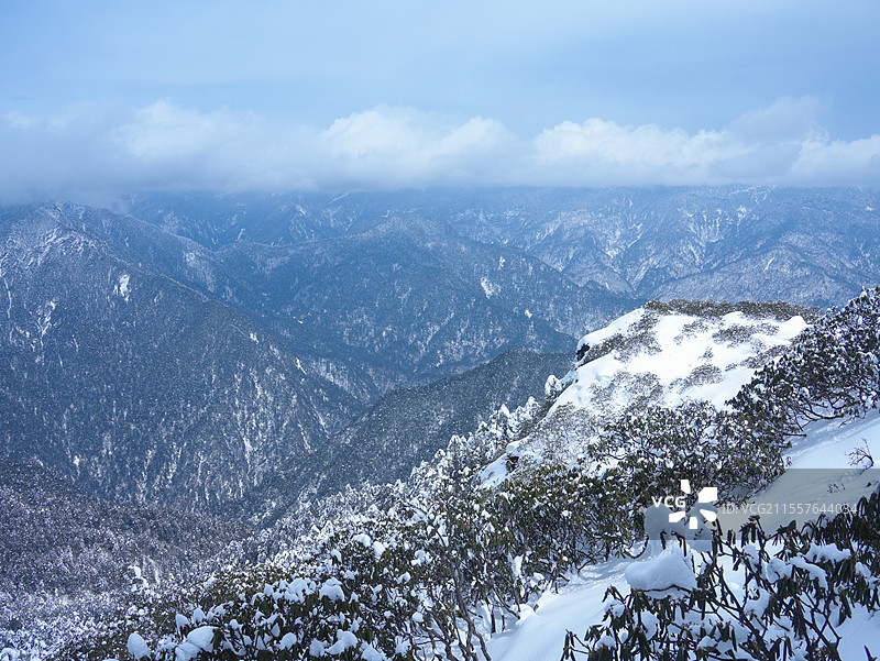 四川省二郎山喇叭河景区春季雪景图片素材