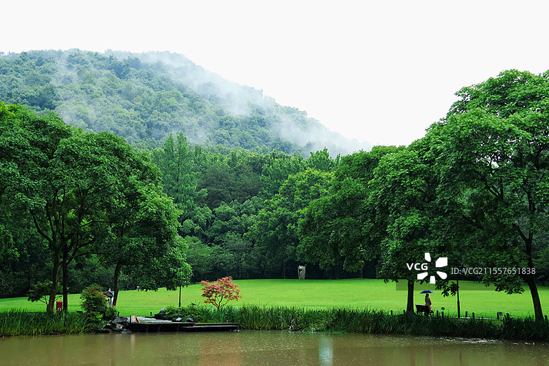 雾屿森林图片素材