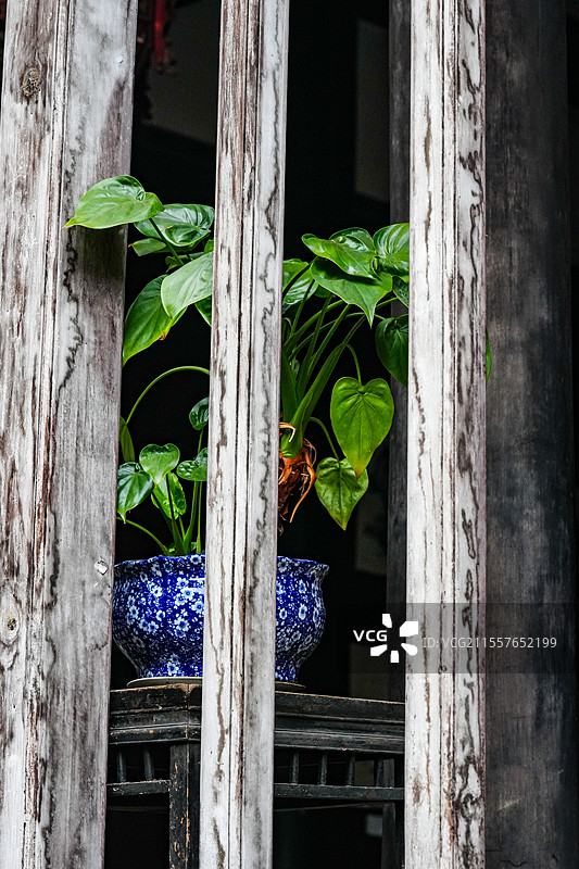 四川自贡贡井区陈家祠堂图片素材