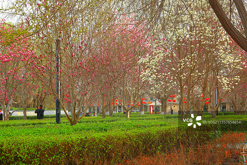 夭桃秾李斗新妆，烟柳垂丝拂画廊琼蕊凝脂满园春，娇莺啭脆和笙簧粼粼碧水涵云影，澹澹清风送野芳图片素材