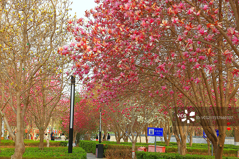 夭桃秾李斗新妆，烟柳垂丝拂画廊琼蕊凝脂满园春，娇莺啭脆和笙簧粼粼碧水涵云影，澹澹清风送野芳图片素材