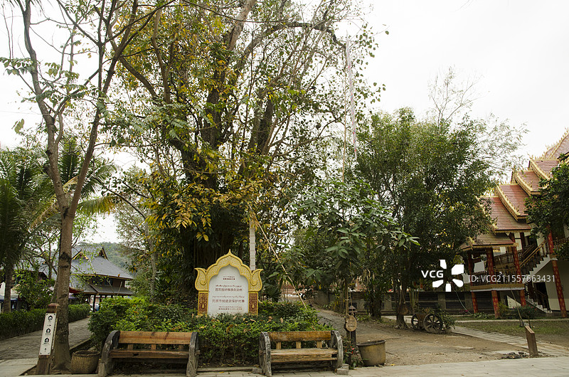 云南西双版纳州勐景来风景区风光图片素材