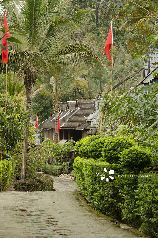 云南西双版纳州勐景来风景区风光图片素材