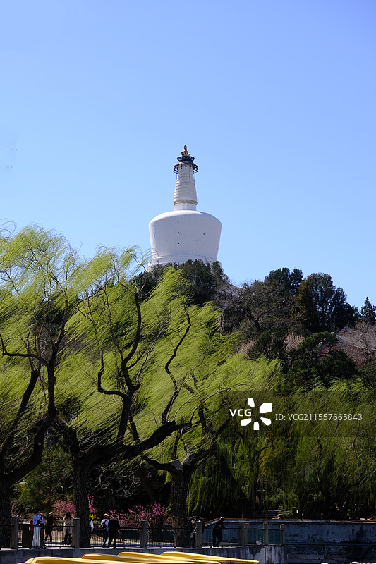北海公园的白塔和斜柳图片素材
