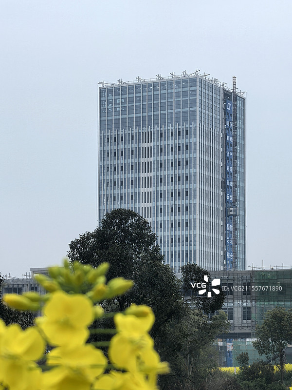 国际湿地城市-重庆梁平数字大厦图片素材