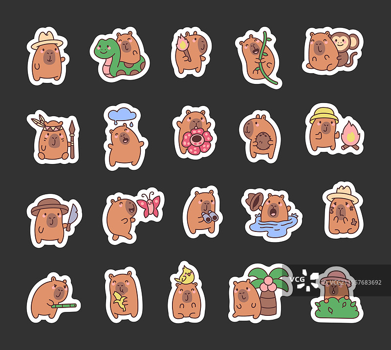 可爱的水豚在丛林中探险图片素材