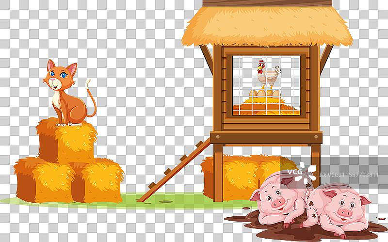 农场环境中的猫、鸡和猪图片素材