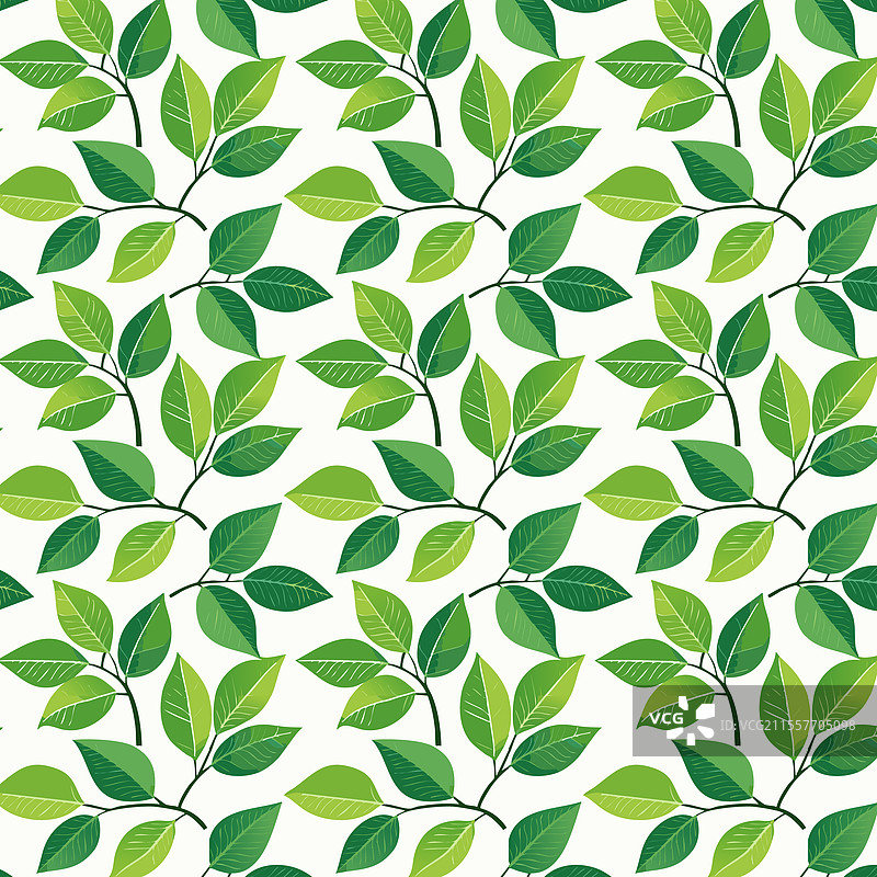 白色背景上的绿色叶子无缝图案图片素材