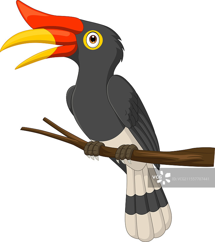 卡通犀鸟栖息在树枝上图片素材