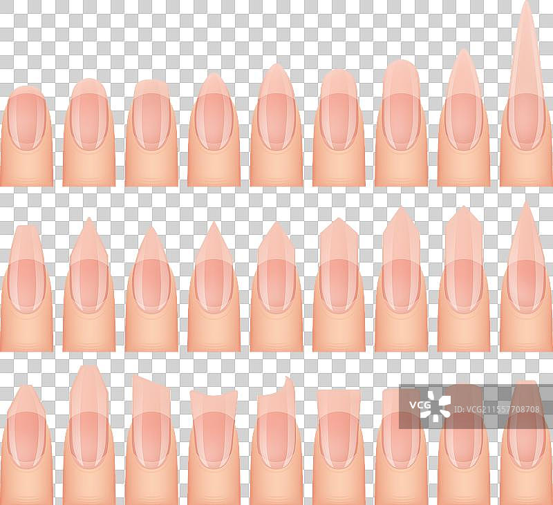 指甲形状美甲套装，不同形状和图片素材