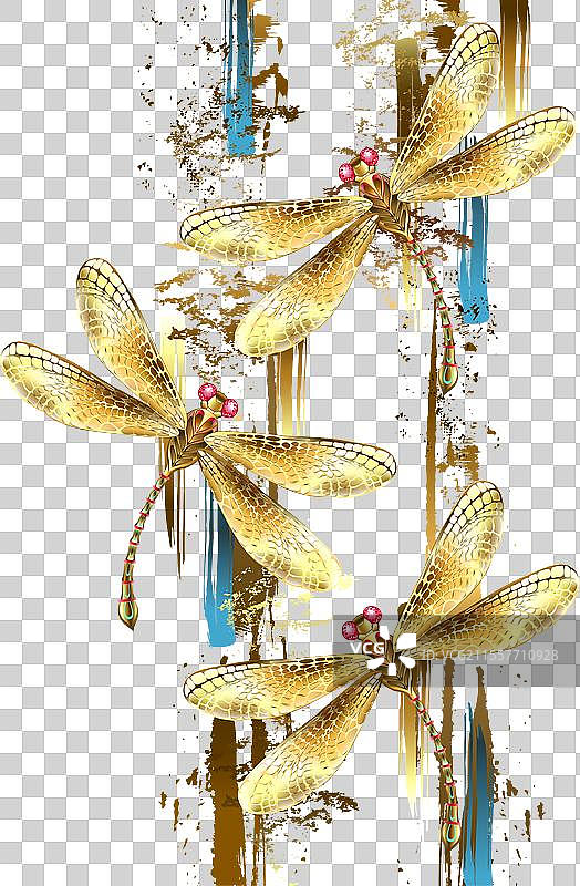 三只金色的蜻蜓图片素材