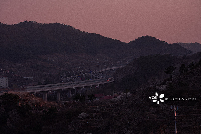 青岛市崂山区大崂樱桃谷一夜春风送来梦幻樱桃花瀑布粉色朦胧版图片素材