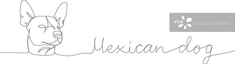 索洛伊犬，墨西哥无毛犬图片素材