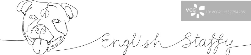 斯塔福德郡斗牛犬 英国斯塔夫犬图片素材