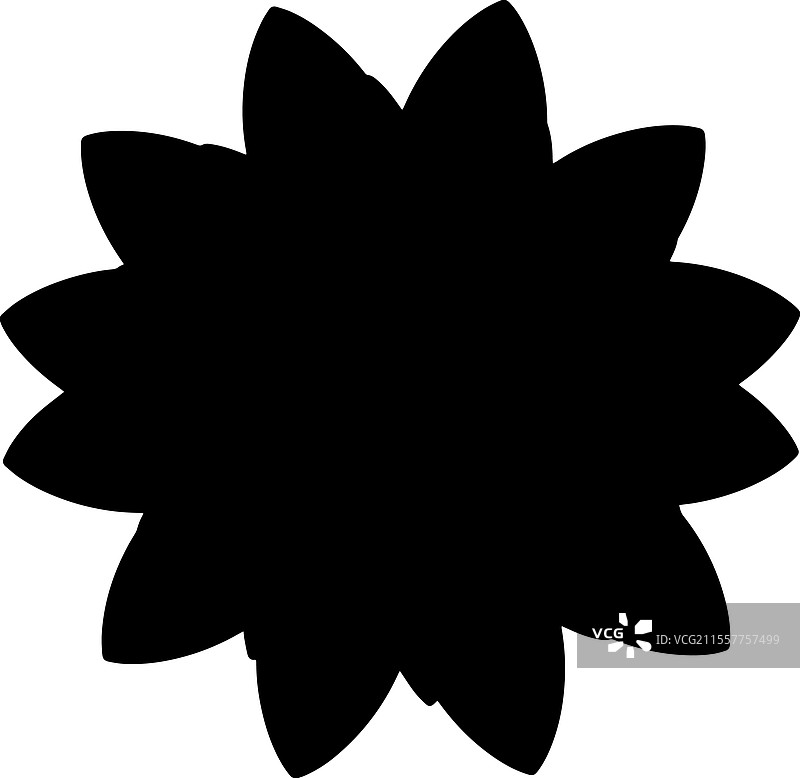 黑白花朵图案设计图片素材