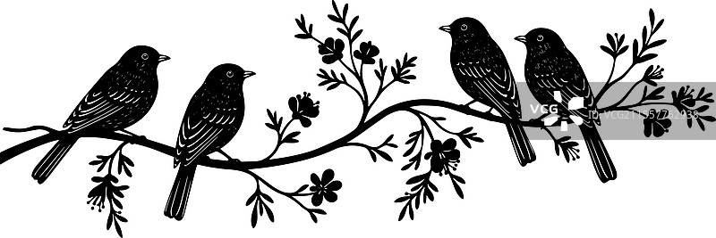 四只黑色鸟儿栖息在树枝上图片素材