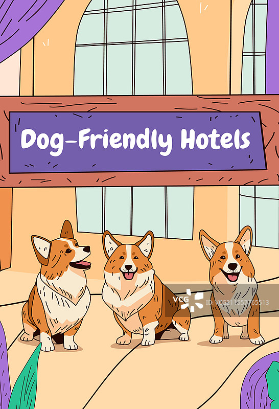 在宠物友好的酒店大堂里的柯基犬图片素材