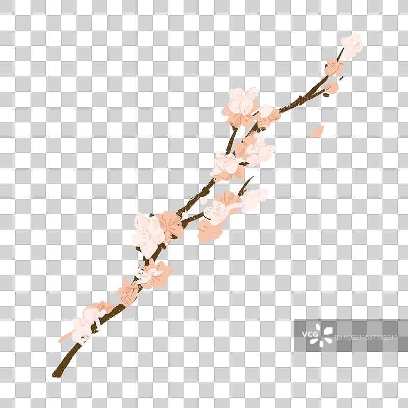 桃花枝梅花樱花点缀装饰元素图片素材