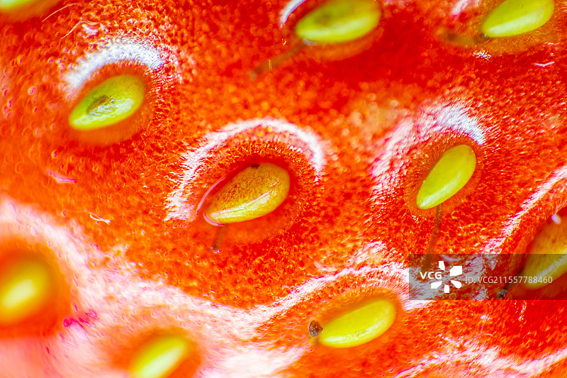 微观草莓图片素材