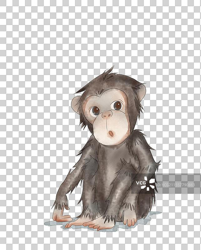 小猴子图片素材