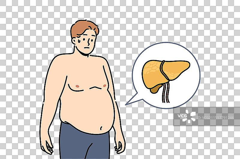 男性肝脏疾病导致肥胖和消化问题图片素材