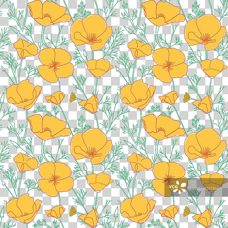 白色无缝图案与橙色罂粟花图片素材