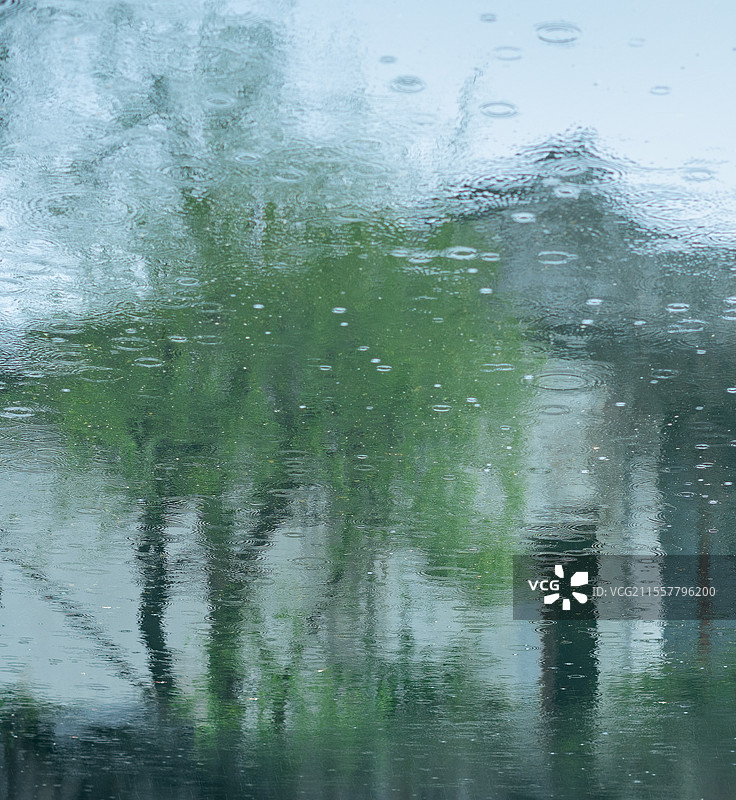 苏州园林，艺圃，春天图片素材