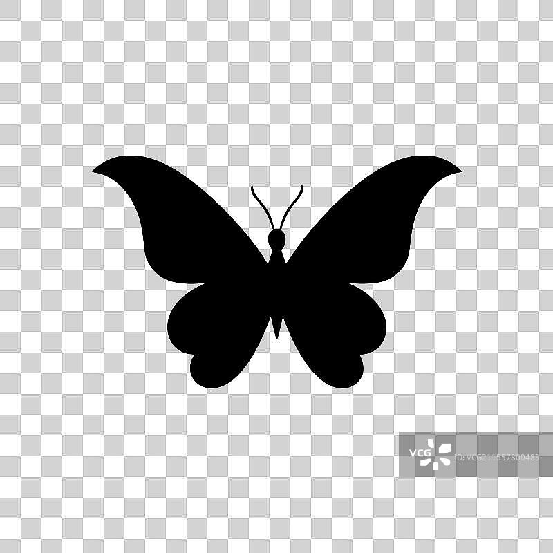 蝴蝶 - 极简和简单的轮廓图片素材